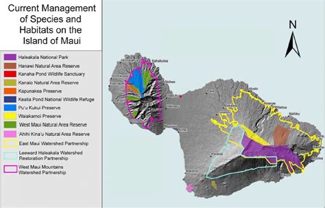 Mafic island hawii